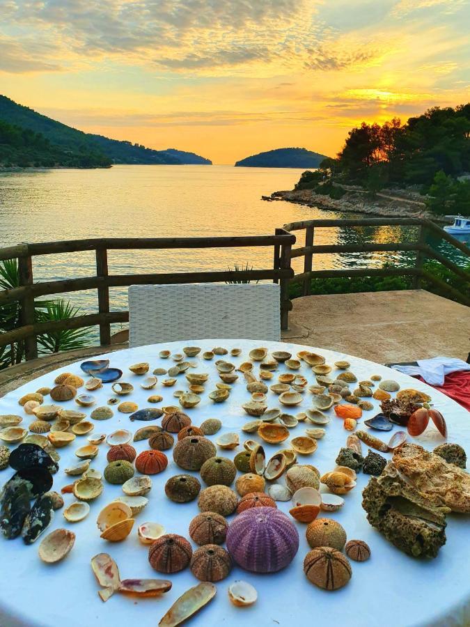 Апартаменты Casa Naranja Croatia Вела-Лука Экстерьер фото